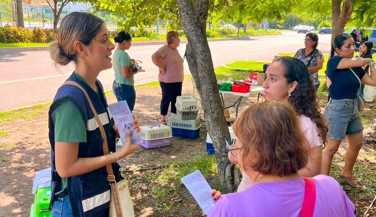 Campaña de esterilización de perros y gatos en Mazatlán