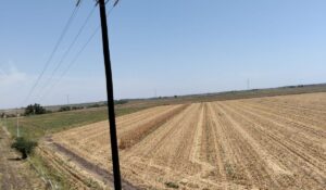El campo de Sinaloa agoniza; se ocupa ayuda y acción de Claudia Sheinbaum: reclaman productores de Navolato