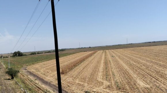 El campo de Sinaloa agoniza; se ocupa ayuda y acción de Claudia Sheinbaum: reclaman productores de Navolato