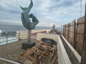 Carpa Olivera en reparación