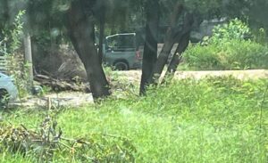 Catean vivienda en la colonia San Fernando de Guasave