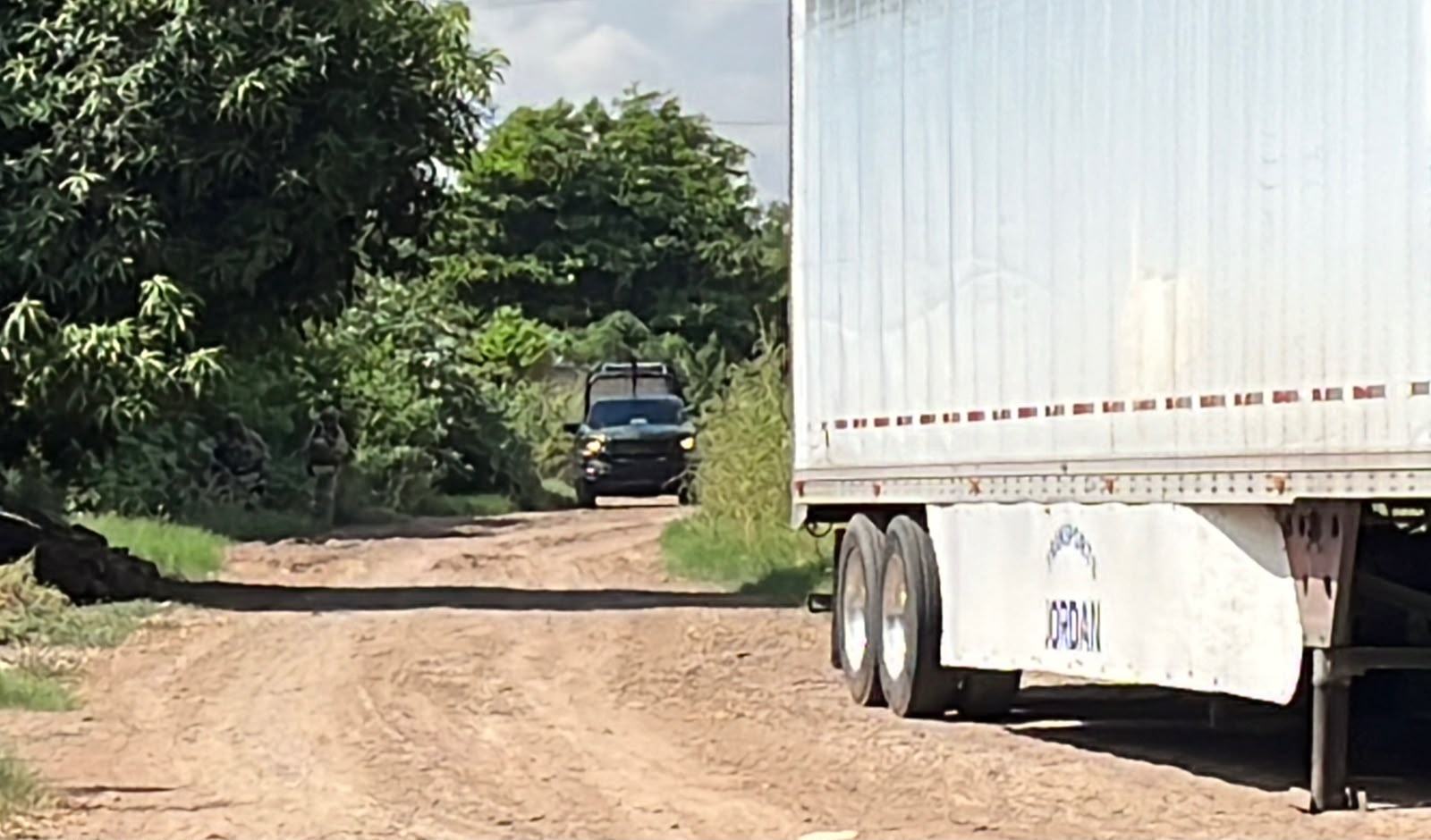 Catean vivienda en la colonia San Fernando de Guasave