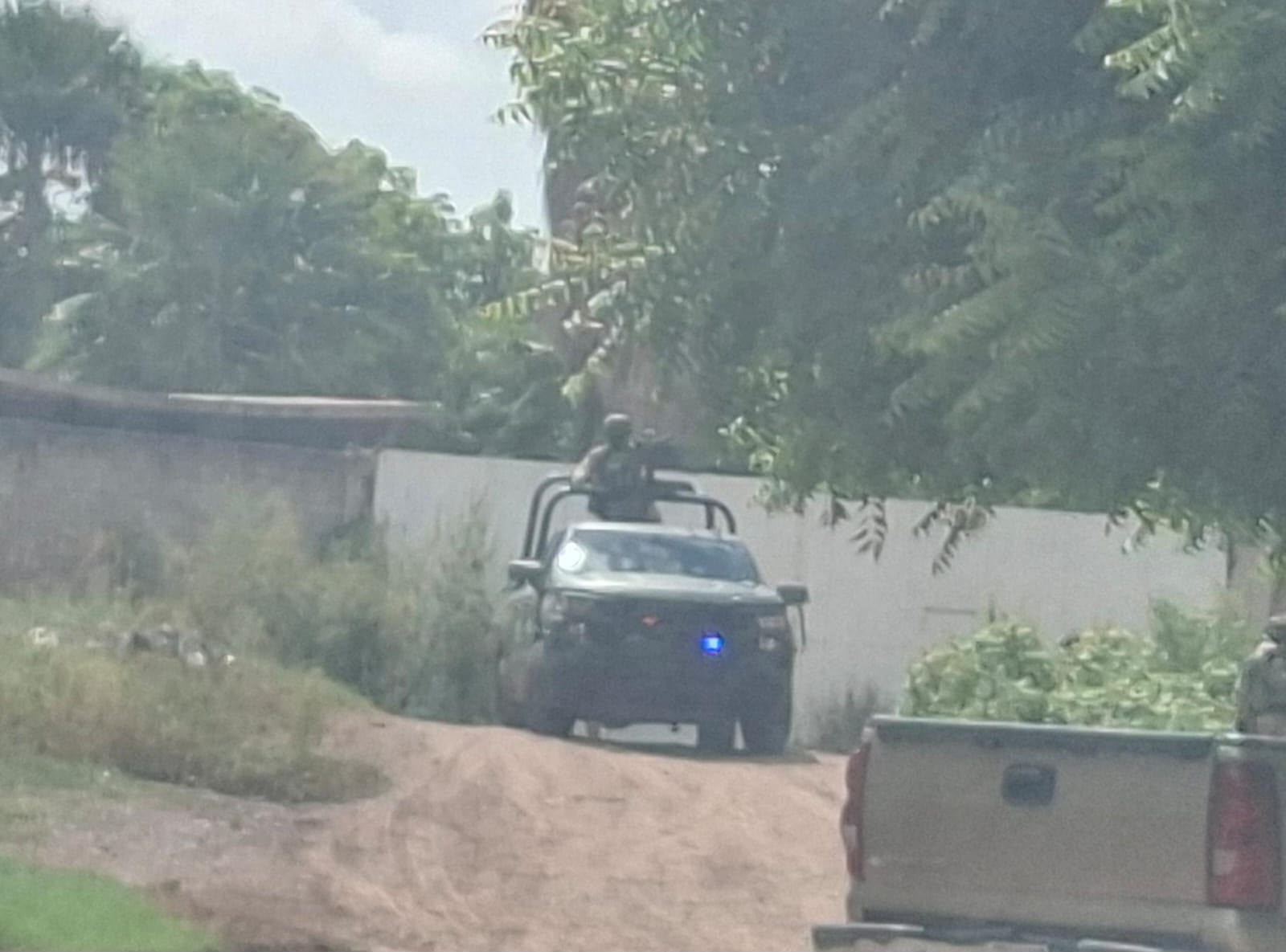 Catean vivienda en la colonia San Fernando de Guasave