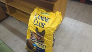 colectivo tarahumara pone en marcha colecta de alimentos croquetas