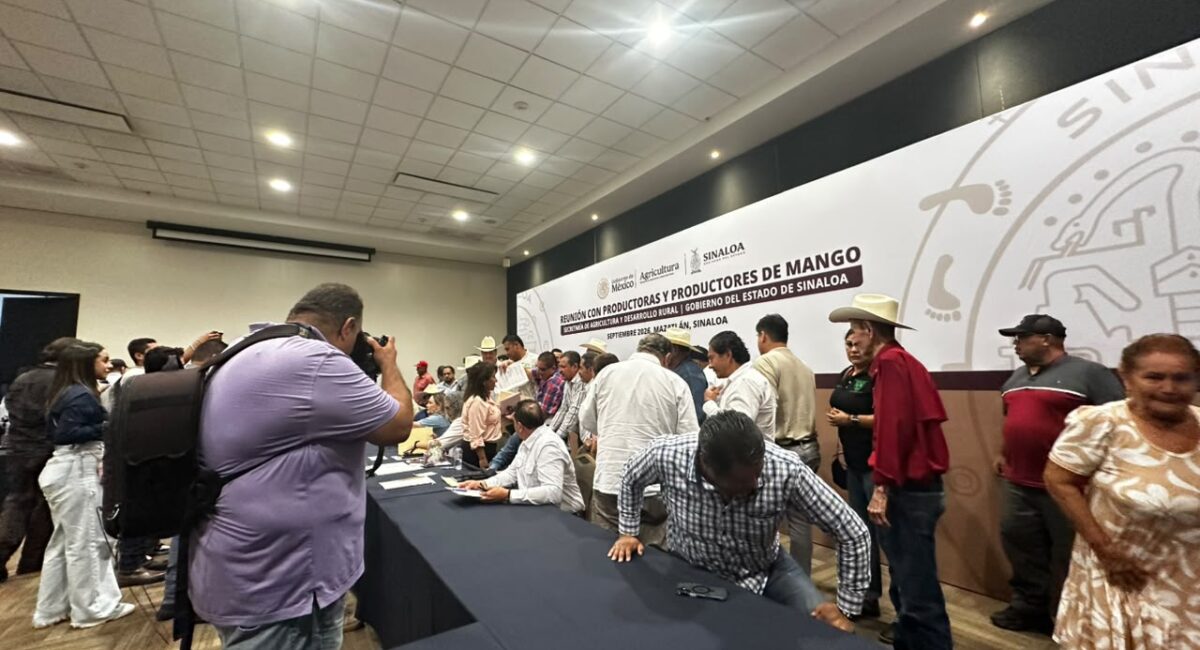 Sader asegura que avanza pago a maiceros y trigueros de Sinaloa; reconoce que quedan casos por resolver