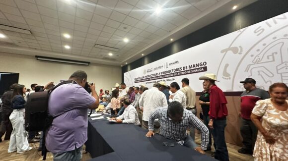Sader asegura que avanza pago a maiceros y trigueros de Sinaloa; reconoce que quedan casos por resolver