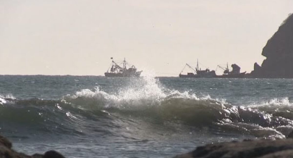Conapesca pide guardar las pangas y respetar cierres de puerto ante efectos de ‘Polo’ en el Pacífico
