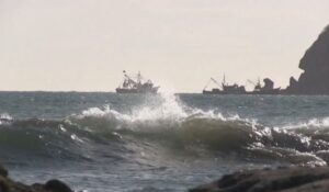 Conapesca pide guardar las pangas y respetar cierres de puerto ante efectos de ‘Polo’ en el Pacífico