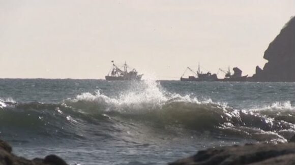 Conapesca pide guardar las pangas y respetar cierres de puerto ante efectos de ‘Polo’ en el Pacífico