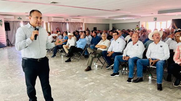 No rebasar las 65 mil hectáreas de frijol en Sinaloa, recomienda GCMA