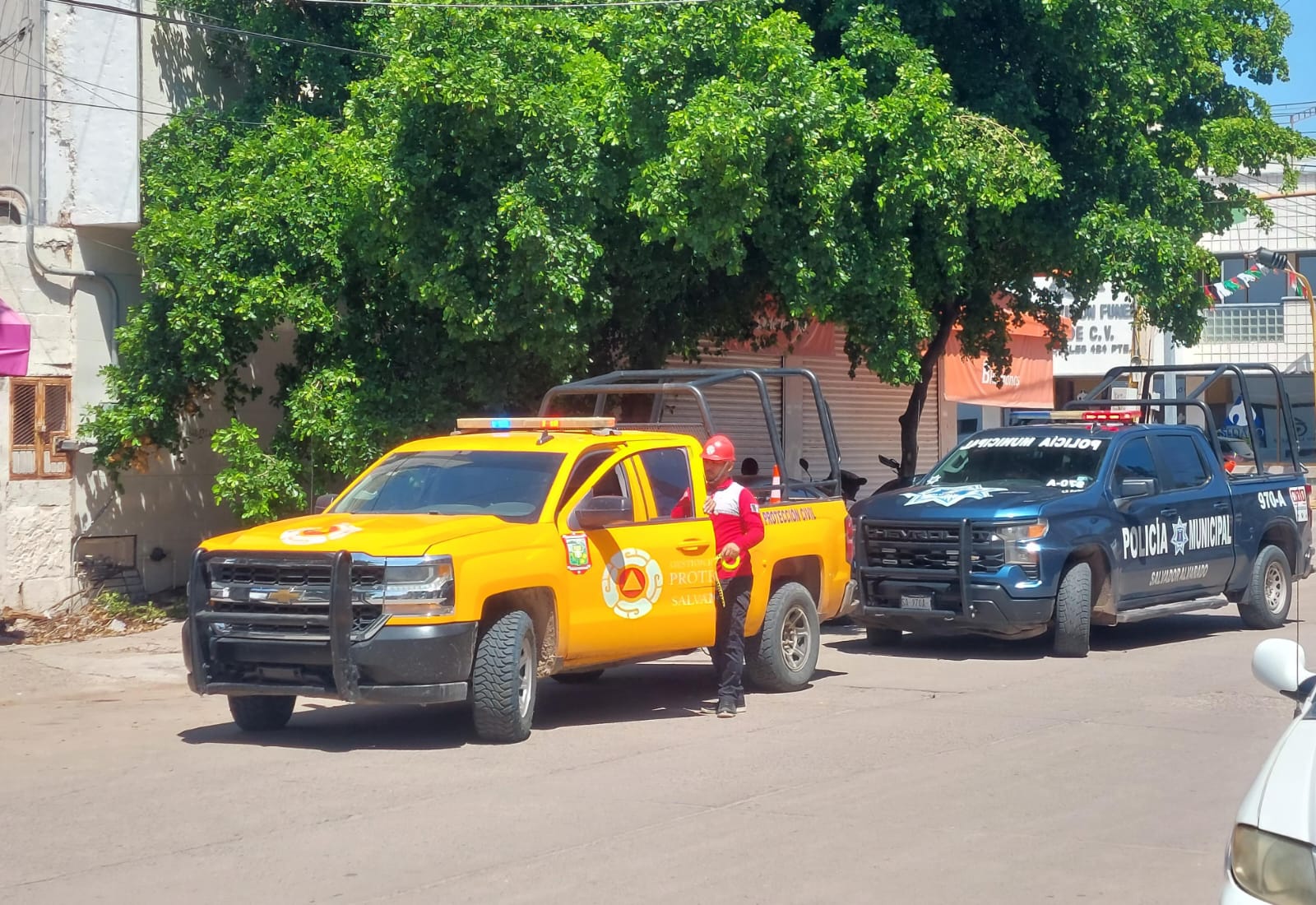 Unidad de Protección Civil