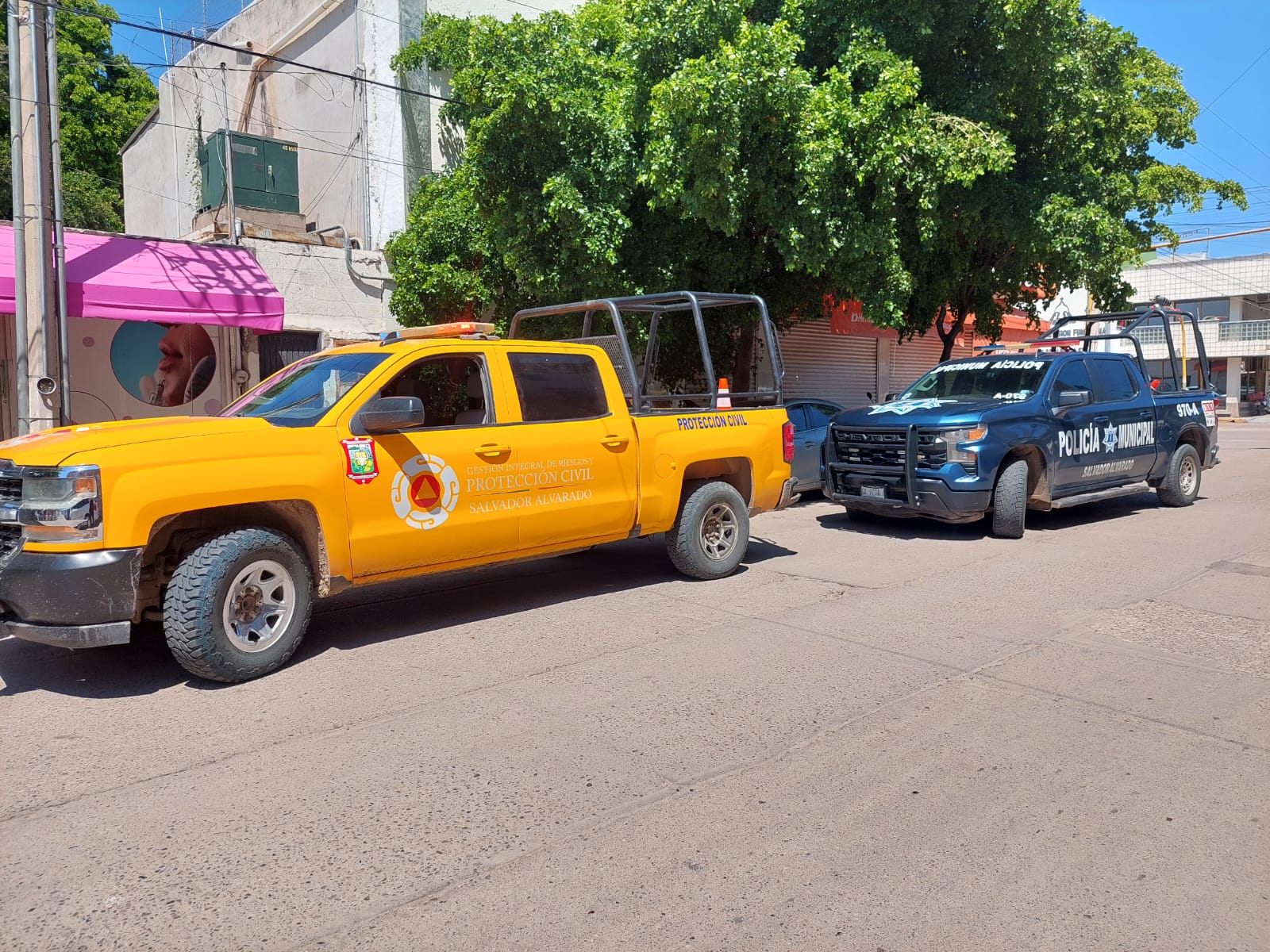 Unidad de Protección Civil