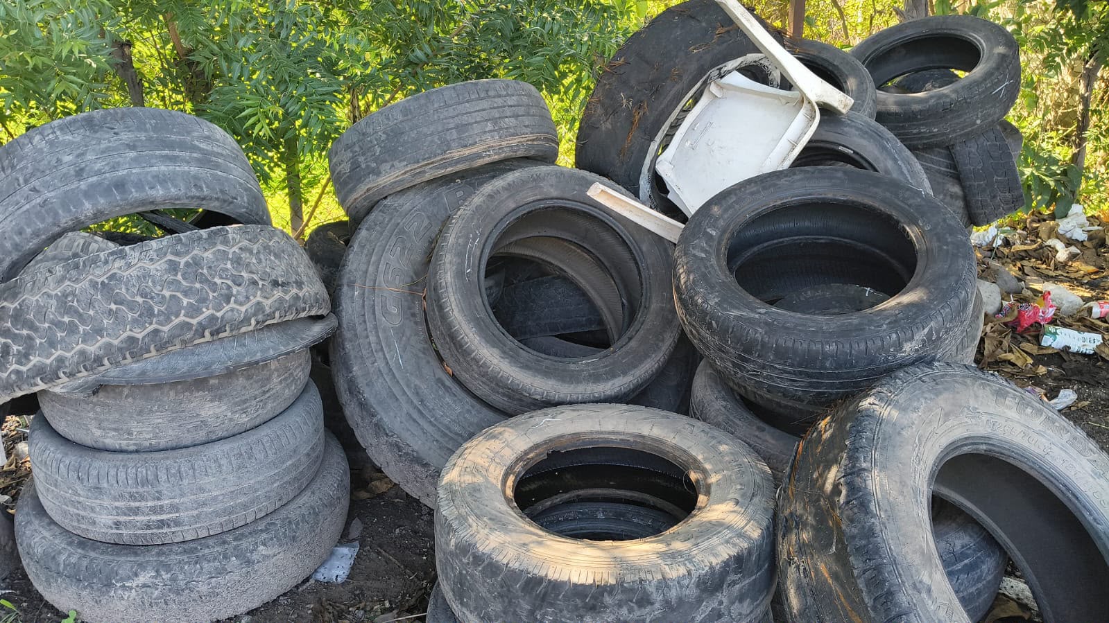 Sacan 11 toneladas de basura de patios en colonias de Escuinapa