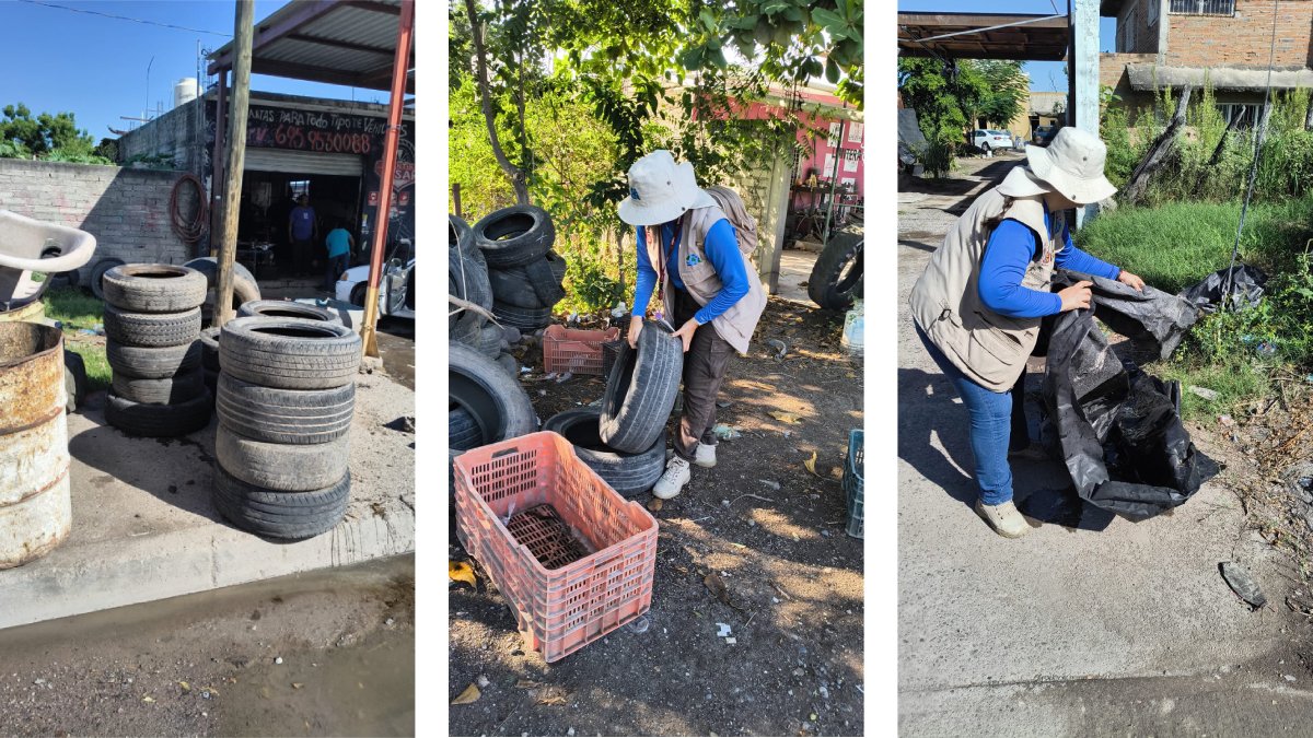 Sacan 11 toneladas de basura de patios en colonias de Escuinapa