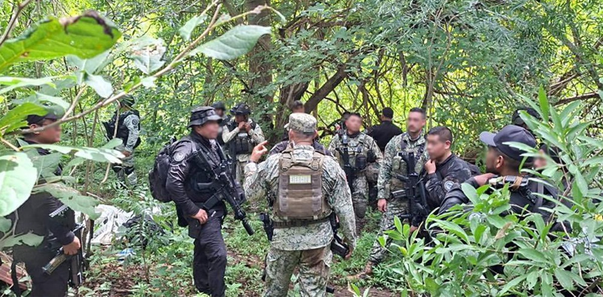 Desmantelamiento de narcolaboratorios en Michoacán y Guerrero