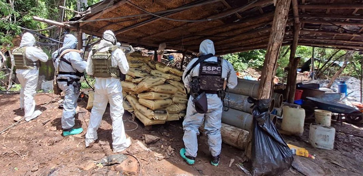 Desmantelamiento de narcolaboratorios en Michoacán y Guerrero