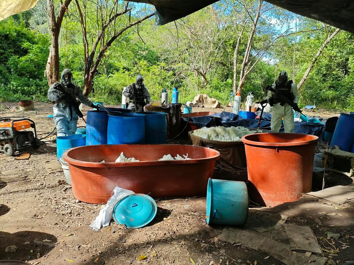 Desmantelamiento de narcolaboratorios en Michoacán y Guerrero