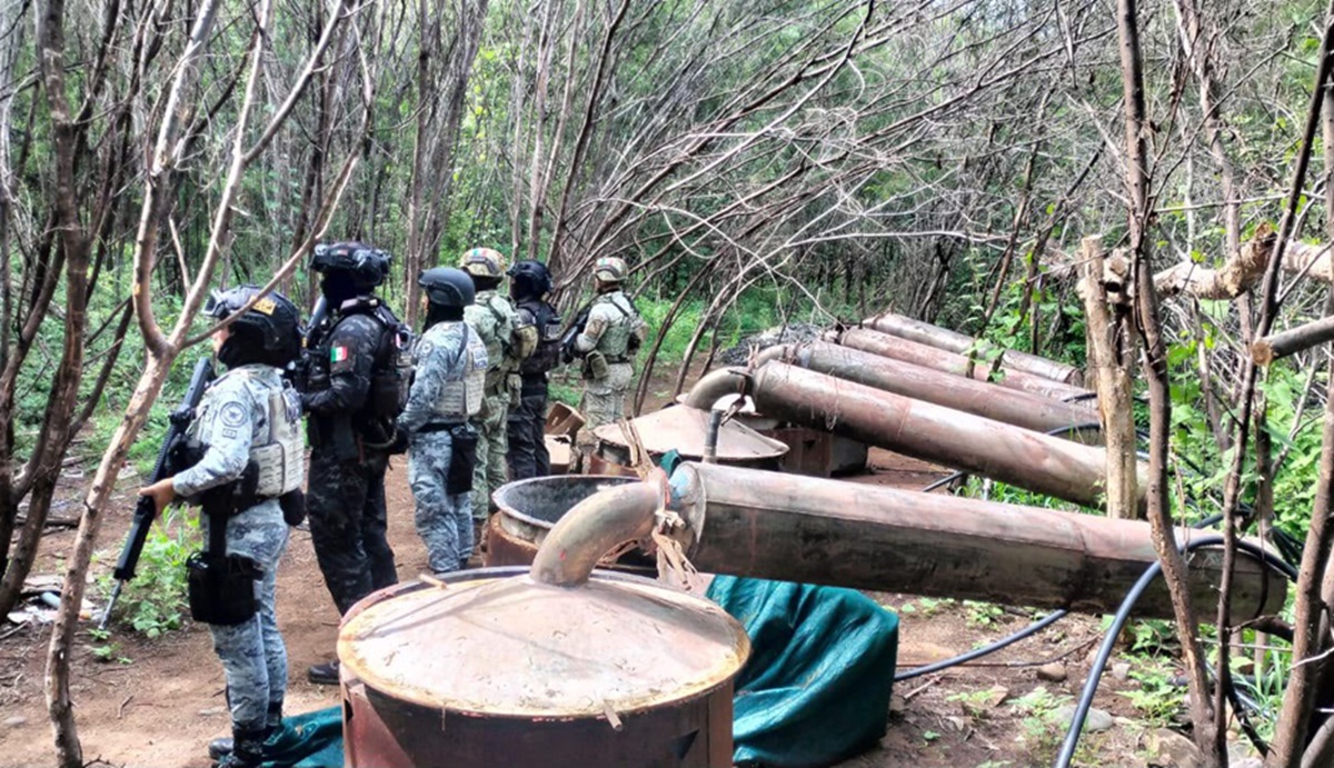 Desmantelamiento de narcolaboratorios en Michoacán y Guerrero
