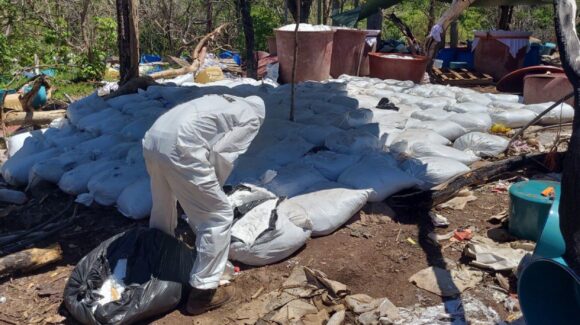 ¡Golpazo al narco! Desmantelan en Sinaloa narcolaboratorio con más de 16 toneladas de metanfetamina; Harfuch reporta que es el segundo más grande del sexenio