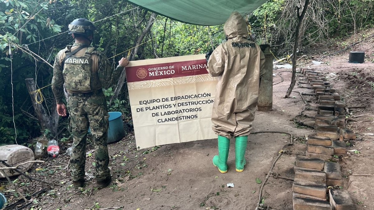 desmantelan en sinaloa narcolaboratorio con mas de 16 toneladas de metanfetamina marina
