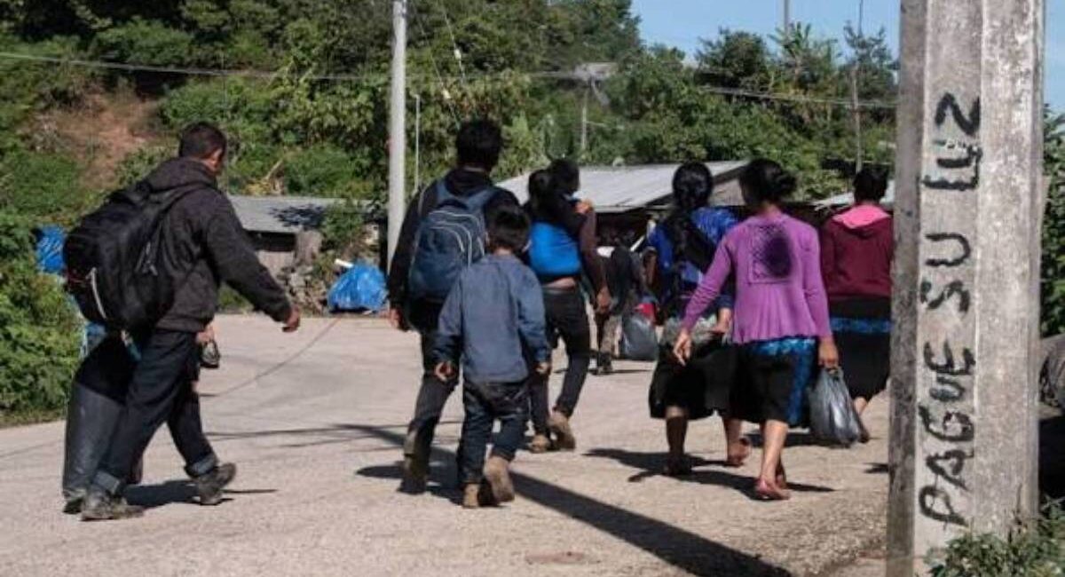 Zacatecas, Morelos y Michoacán concentran desplazamiento interno por violencia: Inegi