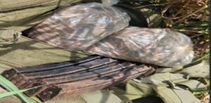 detienen a dos personas durante operativo militar en concordia sin