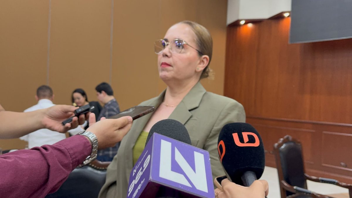 diputada local de mc elizabeth montoya ojeda