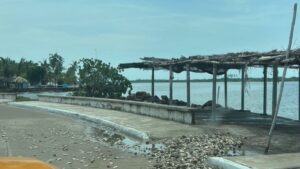 el mar entra a teacapan escuinapa sinaloa orilla