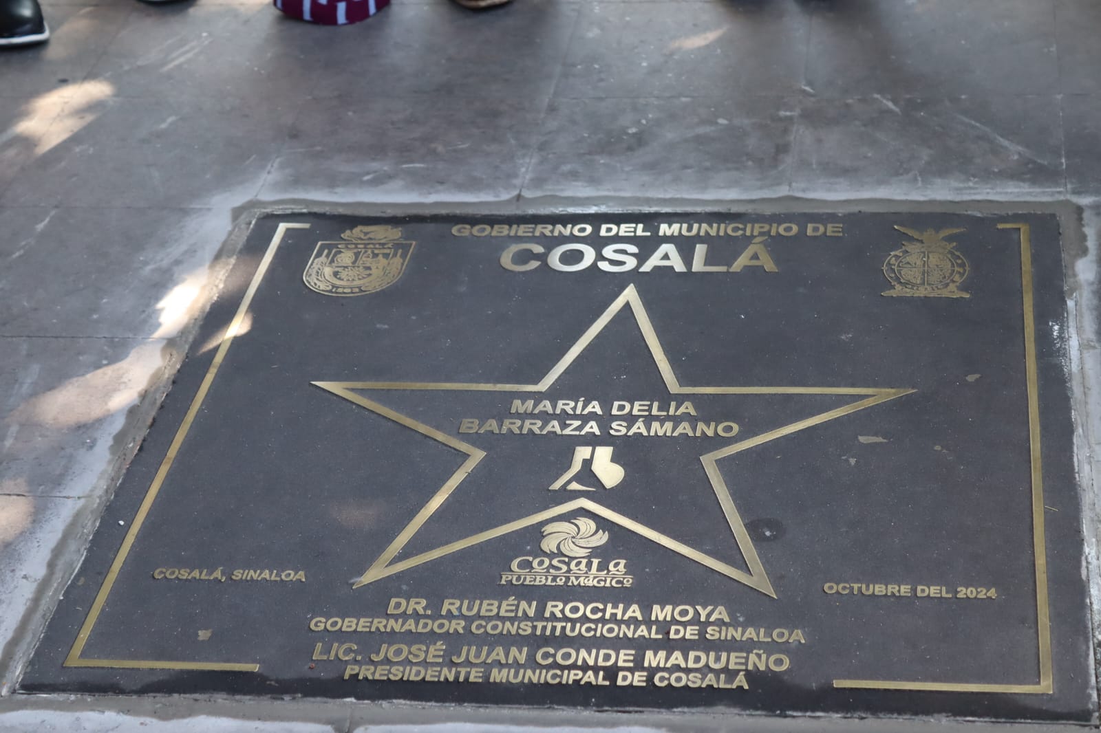 Entregan el galardón "Cosalteco Distinguido" a Delia Barraza