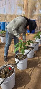Estudiante de la UAS fortalece metodologías para su investigación en agricultura en Argentina