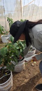 Estudiante de la UAS fortalece metodologías para su investigación en agricultura en Argentina