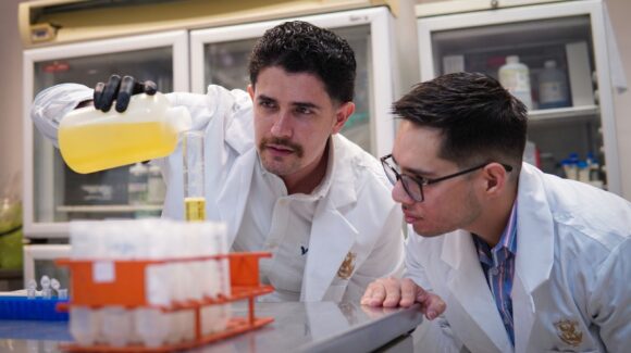 Jóvenes científicos de la UAS realizarán estancia en el Consejo Superior de Investigaciones Científicas de España