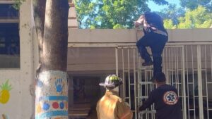 evacuan alumnos y maestros de una escuela en costa rica de culiacan por fuga de gas bomberos