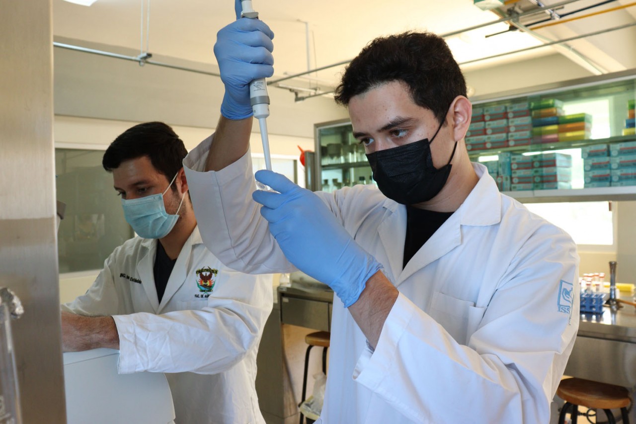 Facultad de Agronomía de la UAS hará panel de especialistas sobre plaga que afecta al campo sinaloense