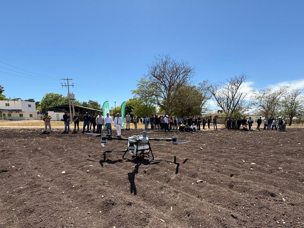Facultad de Agronomía de la UAS hará panel de especialistas sobre plaga que afecta al campo sinaloense