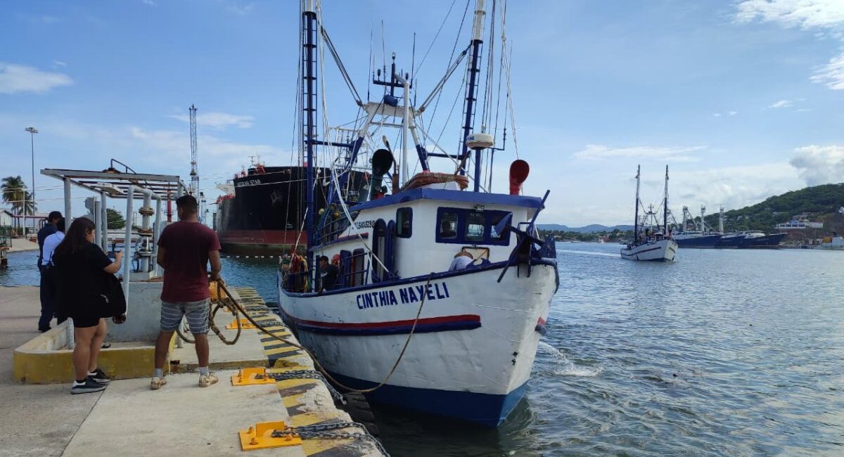 Barcos iniciarán temporada camaronera con precio de más de $27 el diésel marino; armadores prevén disminuir la flota para el arranque