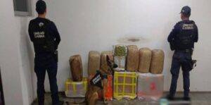 fuerza canina de la sspm entrara en accian en las revisiones en mazatlan sin