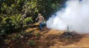 fumigacion por el dengue9