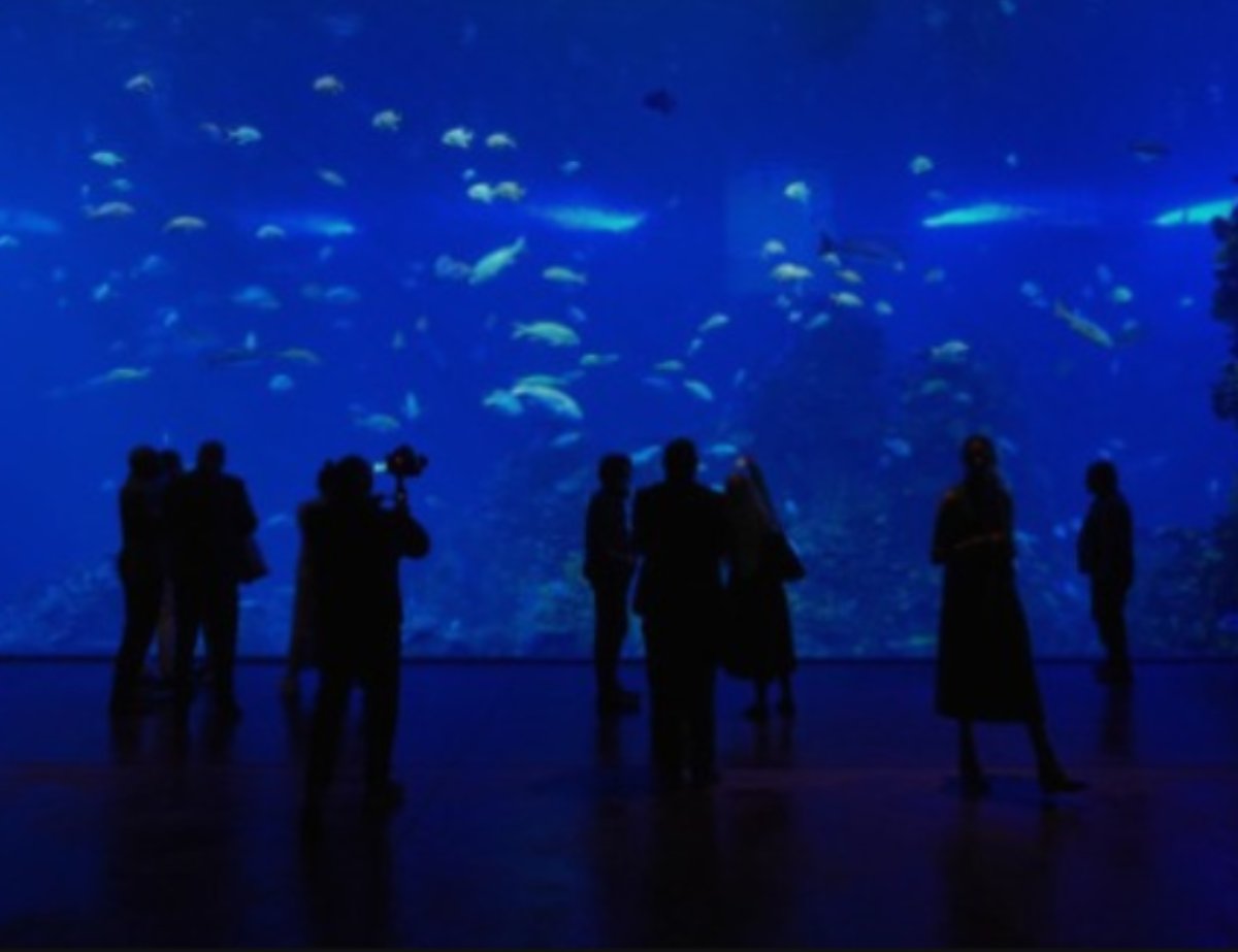 Gran Acuario Mazatlán