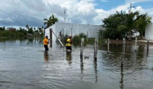 Habilitan refugio temporal en Altata y realizan traslados preventivos por incremento de la marea: PC