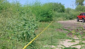 Desnudo y sin vida, localizan a un hombre en El Fuerte, Sinaloa