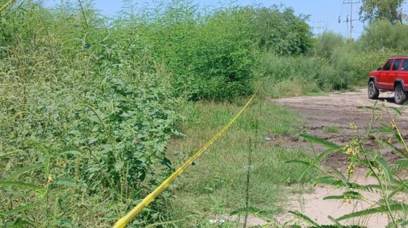 Desnudo y sin vida, localizan a un hombre en El Fuerte, Sinaloa