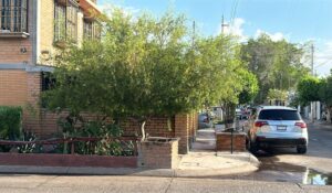 Hombre se acuchilla afuera de un domicilio del fraccionamiento San Fernando, en Los Mochis, Sinaloa