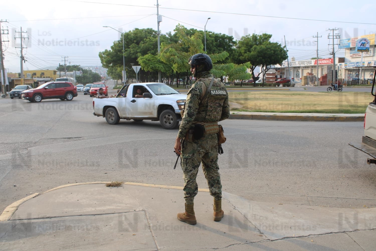 elementos del Ejército