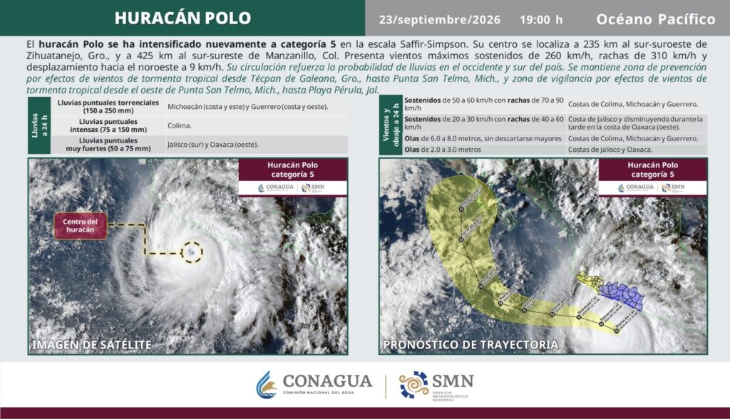 Polo de nuevo categoría 5
