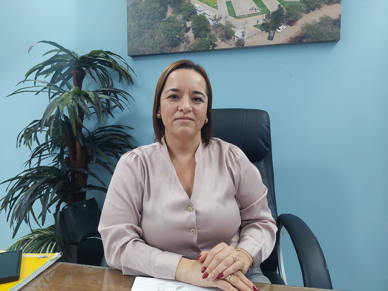 Isaura Bejarano Lugo, gerente de Japasa