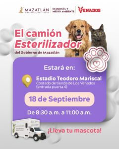 Jornada de esterilización de animales en Mazatlán