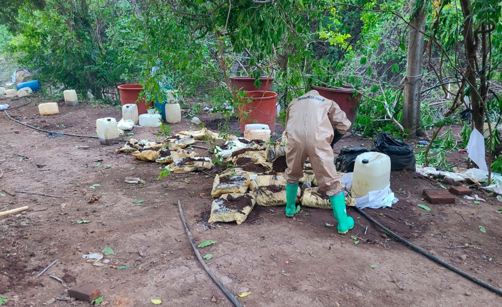 Marina desmantela laboratorio clandestino en Sinaloa