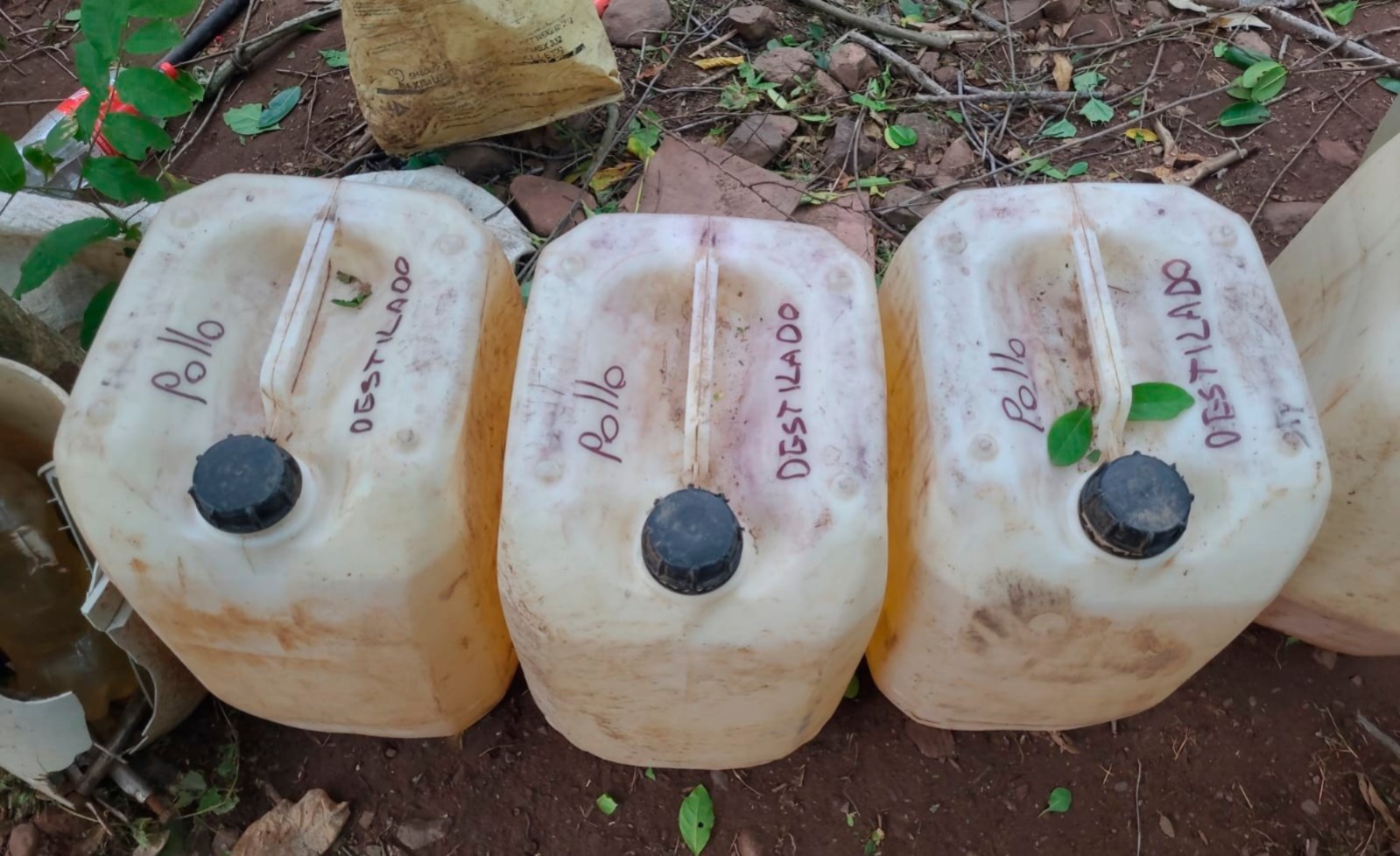 Marina desmantela laboratorio clandestino en Sinaloa