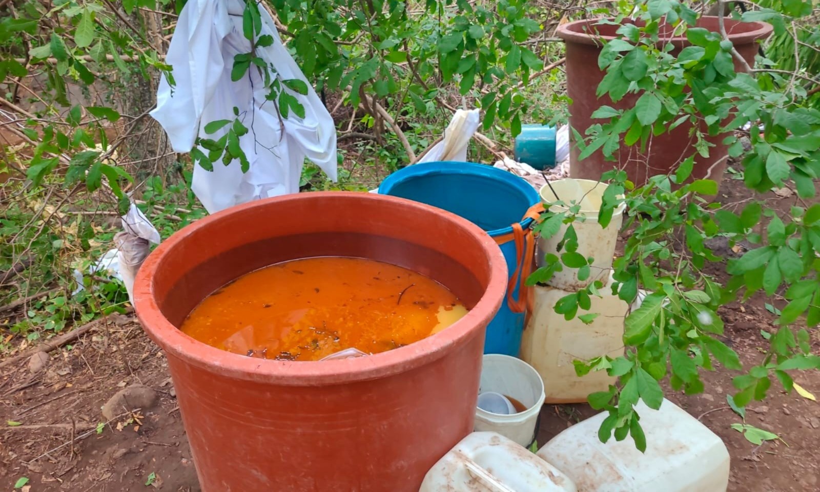 Marina desmantela laboratorio clandestino en Sinaloa